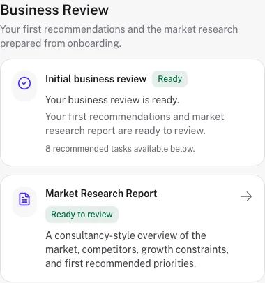 Fieldgates Business Review using synthetic business data to show findings and priorities.