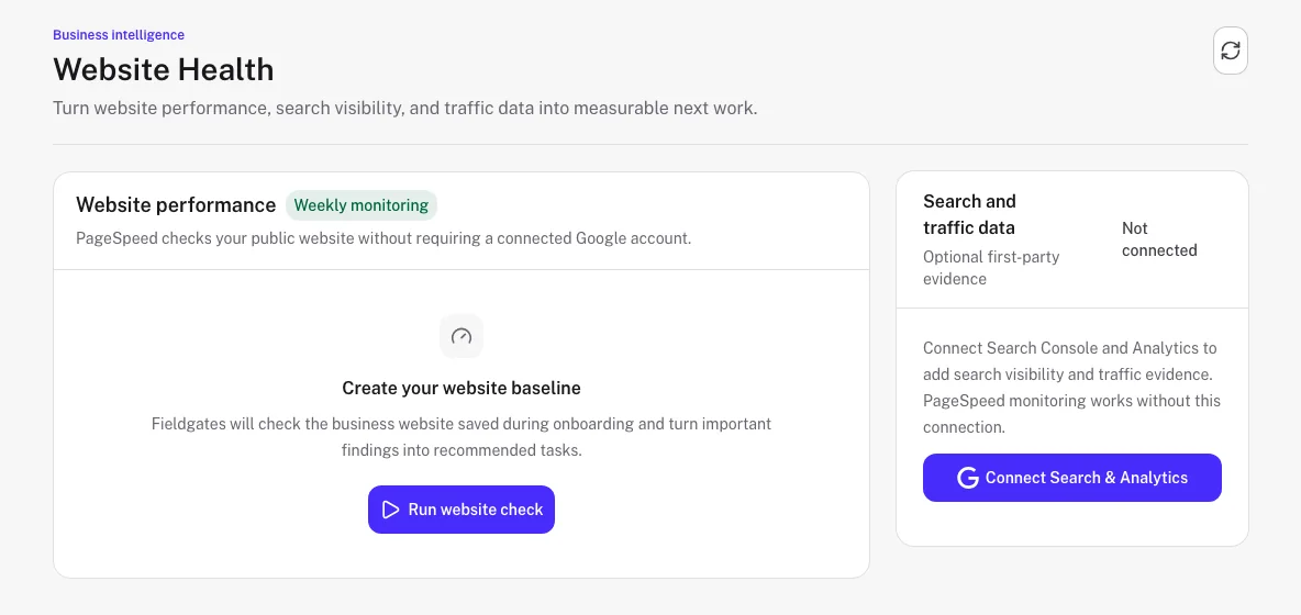 Fieldgates Website Health baseline prompt ready to begin an initial website review.